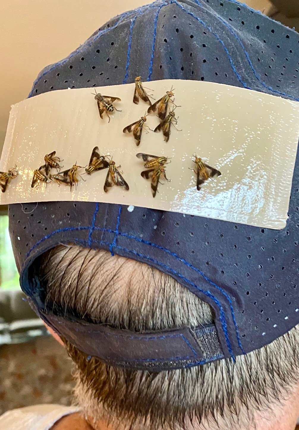 Deerfly Patches/Deer Fly Repellent Patch