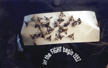 TredNot 40 / PK Deerfly Patches Deer Fly Strips