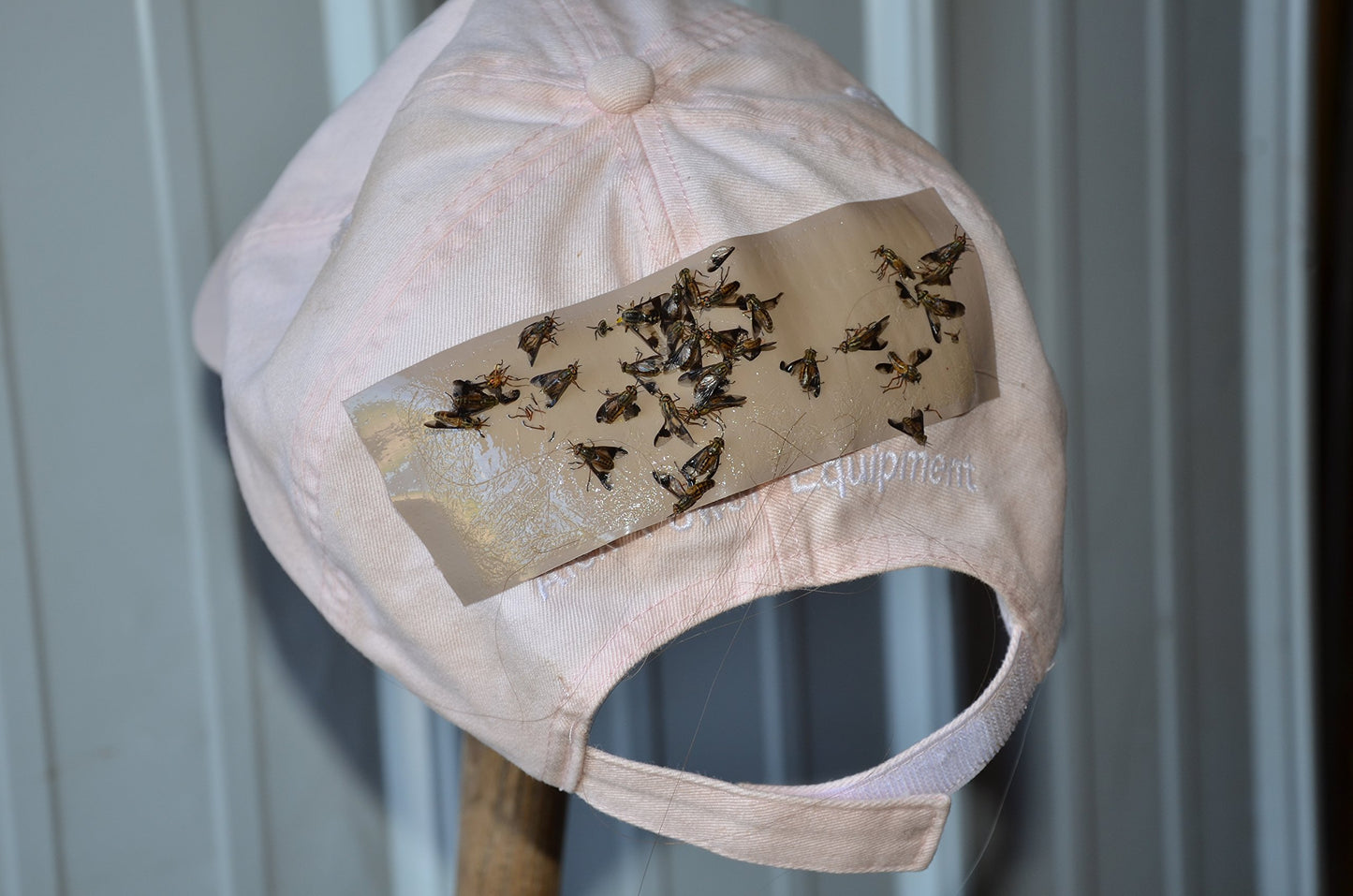 TredNot 40 / PK Deerfly Patches Deer Fly Strips