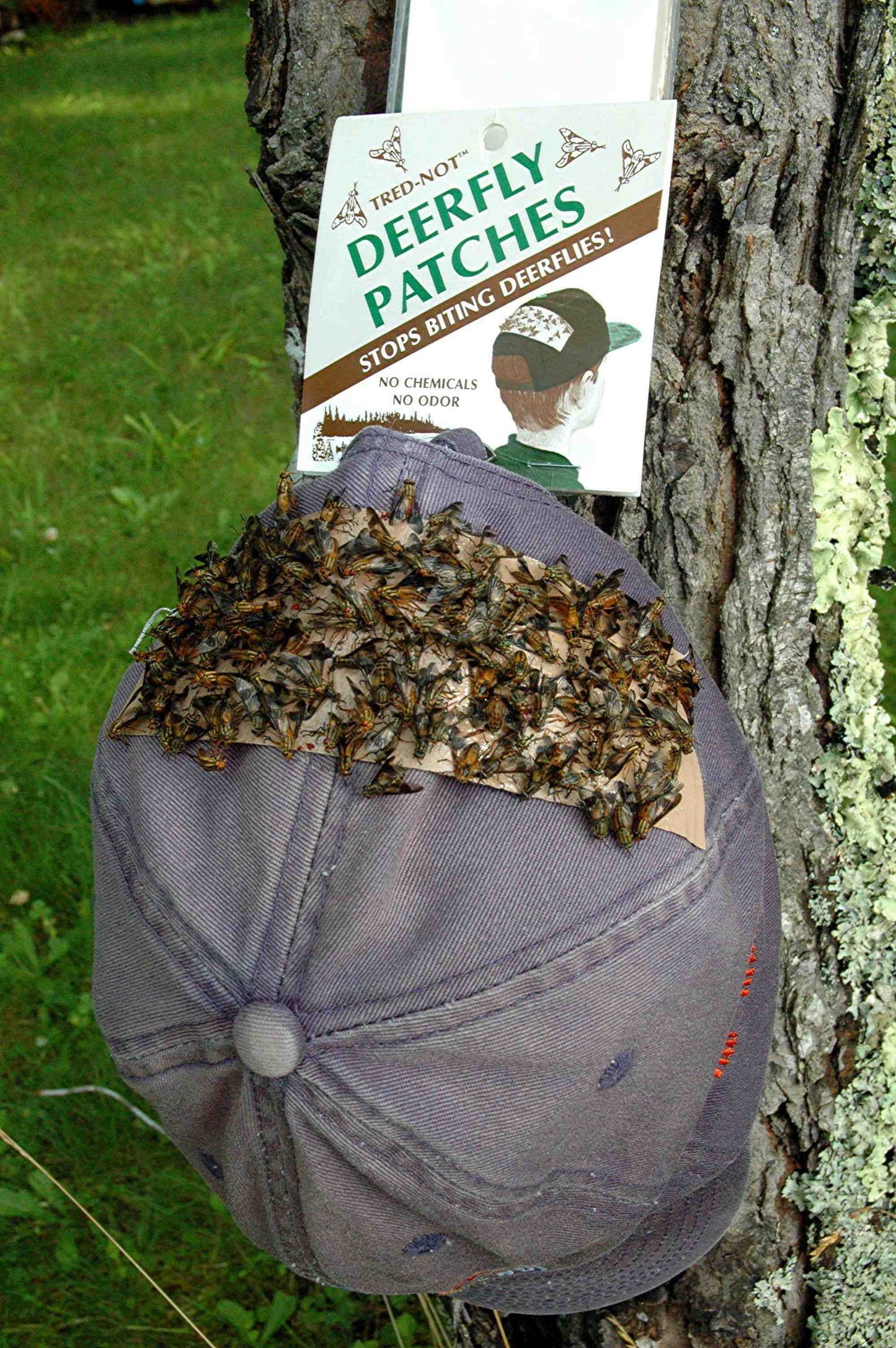 200 Deerfly Patches (Fifty 4/pks) Stops Biting Deer Fly