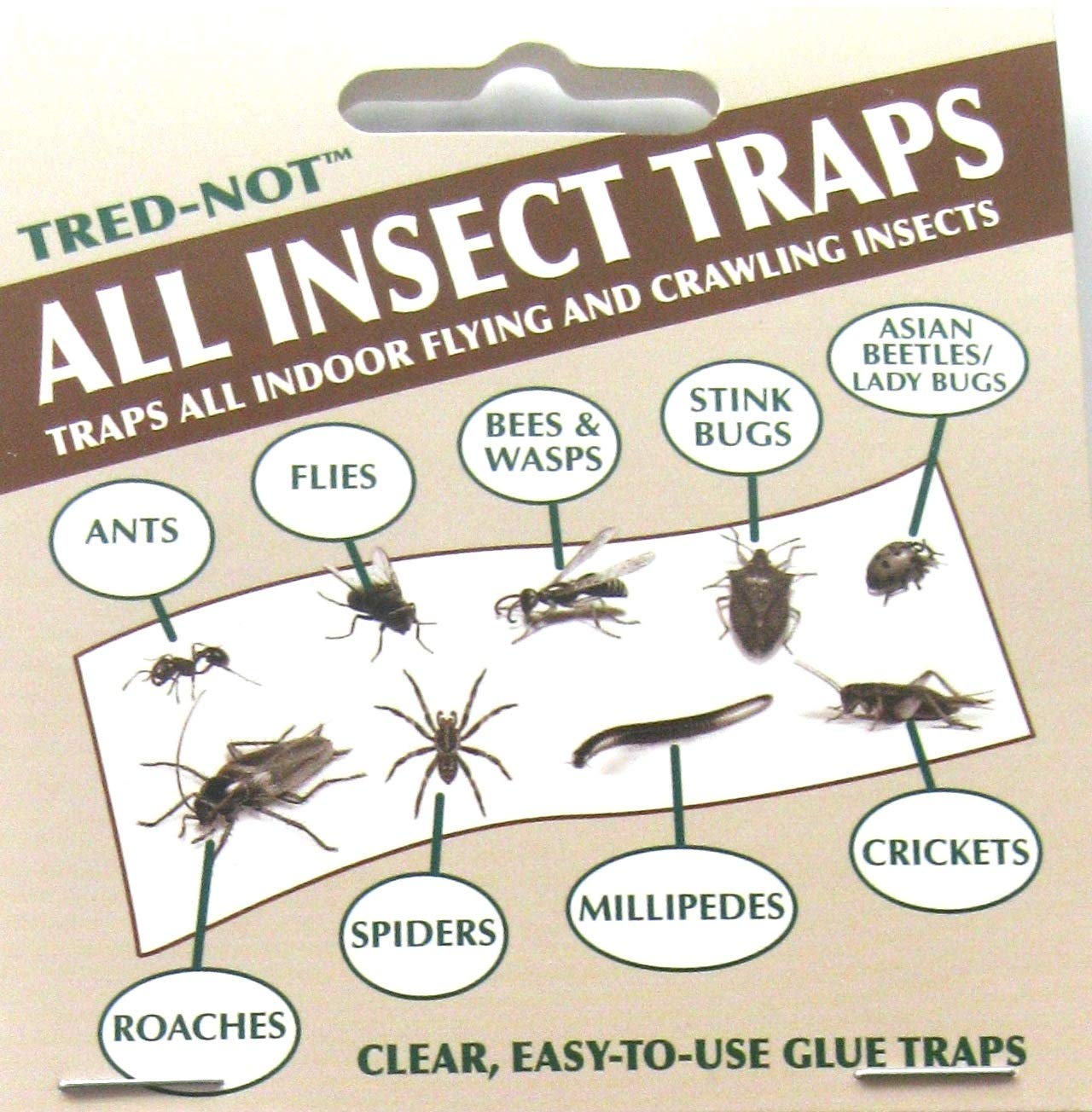 8 pk Economy All Insect Traps/Glue Boards/Window Strips.. Fly, Bees, Wasps, Asian Beetles +