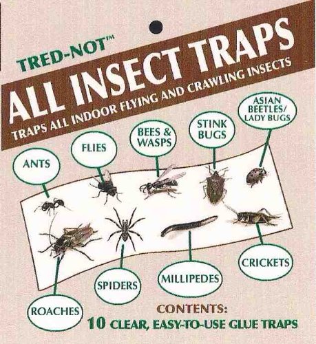 200 pk All Insect/Fly Traps/Sticky Strips/Glue Boards.(Twenty 10 pks) Trap Flies, Bees, Wasps, Asian Beetles, etc.