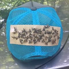 TredNot 40 / PK Deerfly Patches Deer Fly Strips