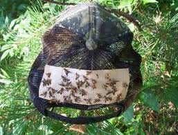 TredNot 40 / PK Deerfly Patches Deer Fly Strips