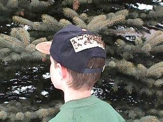80 / Pk Deerfly Patches/TredNot Deer Fly Patch Repellent