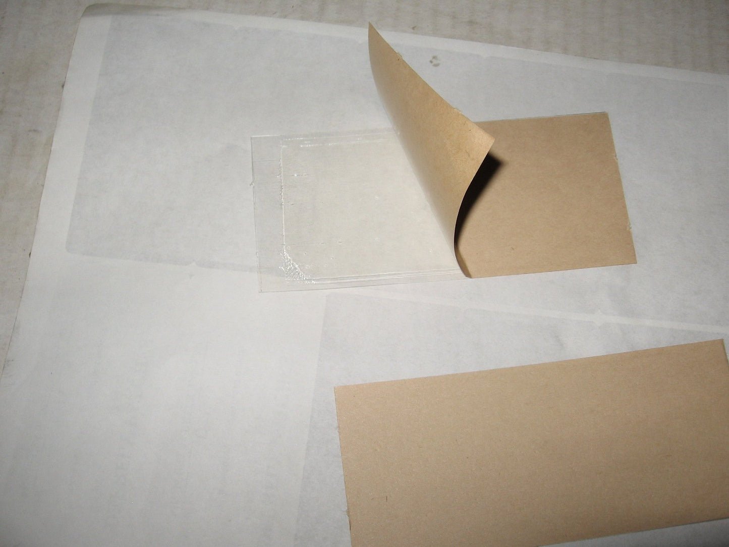 8 pk Economy All Insect Traps/Glue Boards/Window Strips.. Fly, Bees, Wasps, Asian Beetles +
