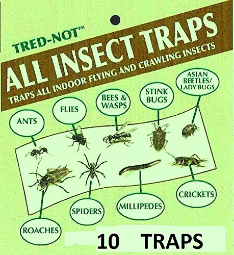 TredNot 10 Pk Camel Cricket/Roach/Scorpion Sticky Traps